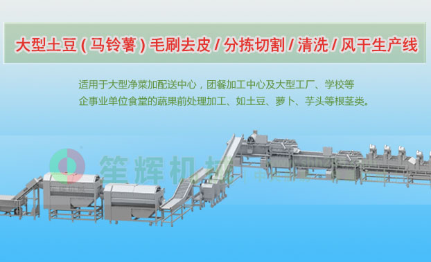 江州连续式土豆去皮清洗切割风干生产线